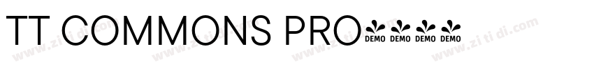 TT COMMONS PRO字体转换